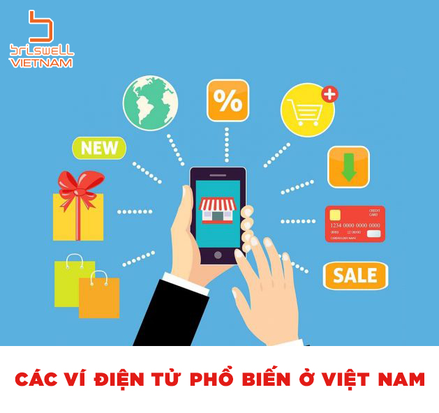 CÁC VÍ ĐIỆN TỬ PHỔ BIẾN Ở VIỆT NAM